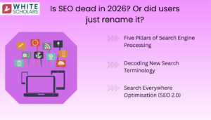 Is SEO dead in 2026? Or did users just rename it?